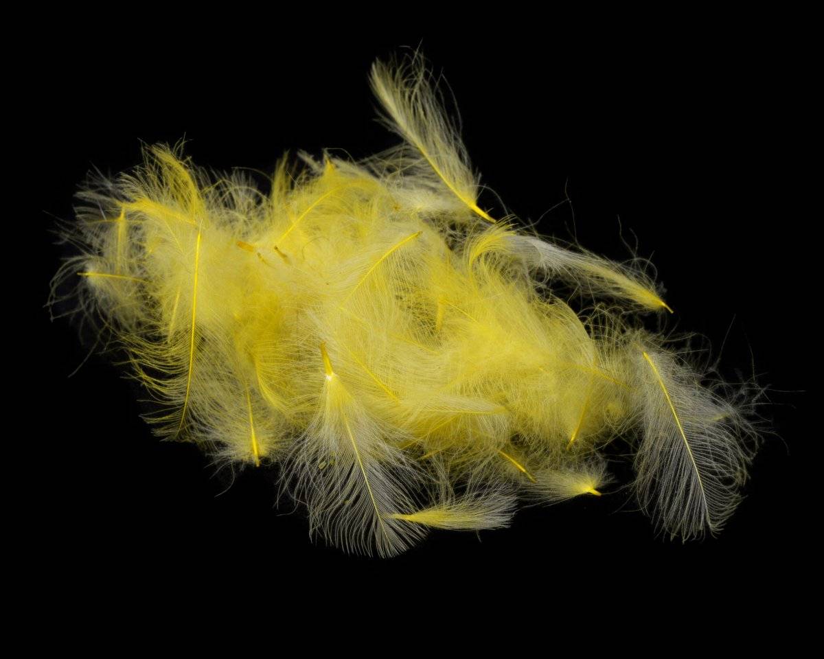 Fly-Dressing Premium CDC (Färg: Pale Yellow)