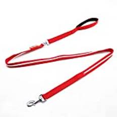 HIOD LED hundkoppel litet hundkoppel LED hundkoppel för hundpromenad på natten, USB-laddning hundkedja, röd, L