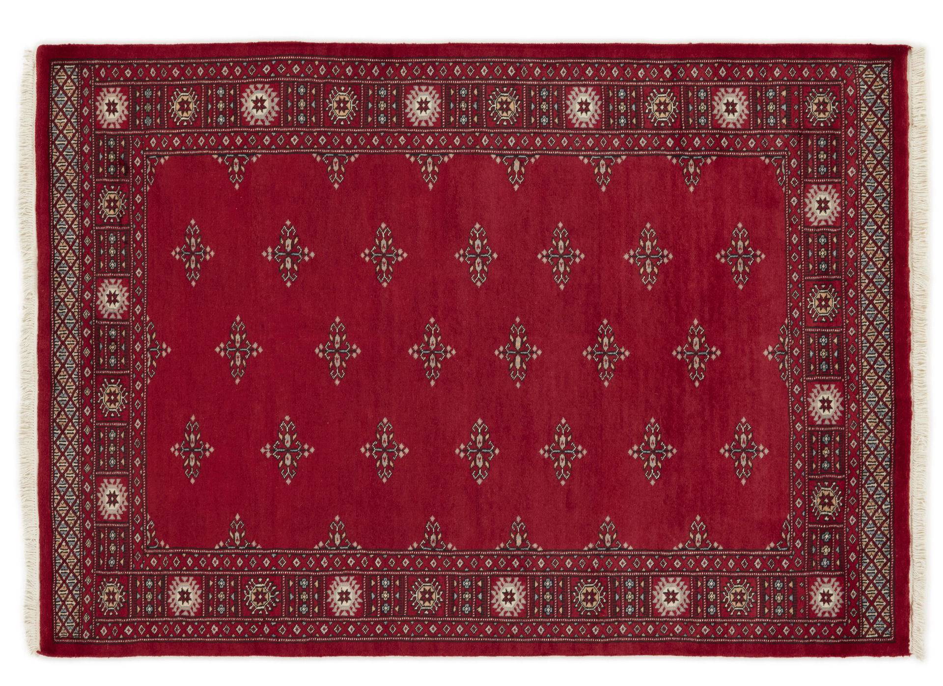 Pakistan 3 Ply