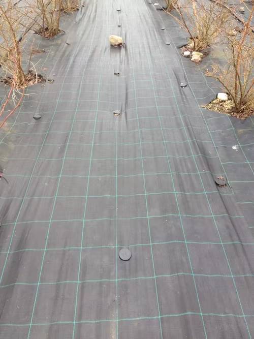 MARKTÄCKVÄV 100 meter x 1,3 m