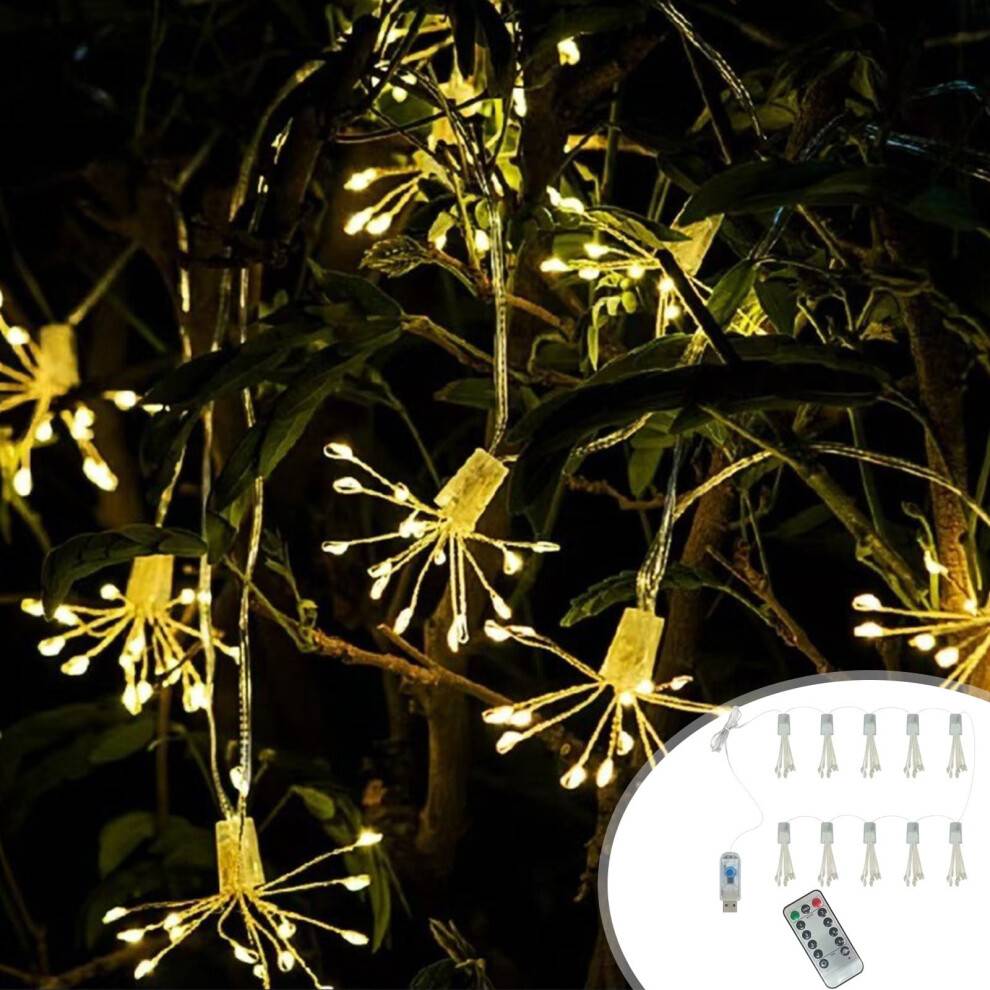 AuroraX Flowers Terrasselys 100 LED Fe 10 Fod Lyskæde Julelys Indendørs Udendørs Jule Terrasse Hus Lys Dekoration