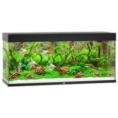 JUWEL RIO 240 LED AKVARIE SORT