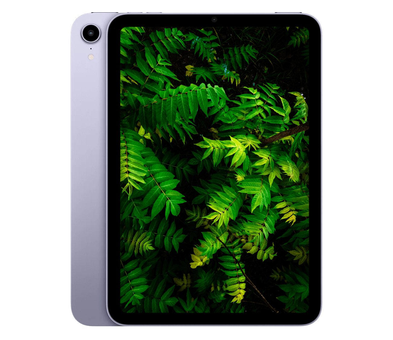 iPad Mini 6 (2021) 8.3" WiFi + 5G