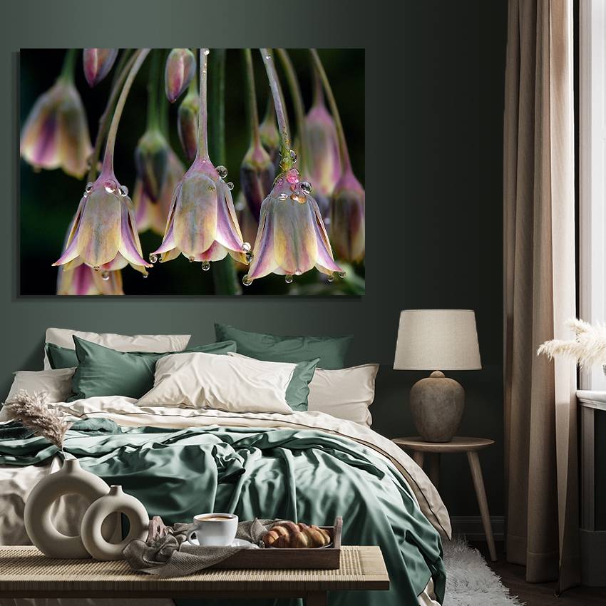 Tavla - Tulipa