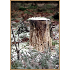 TRÆSTUB - NATURPLAKAT A4 ( 21 x 29,7cm) - BOLIGEN > NATURPLAKATER - Living Nature