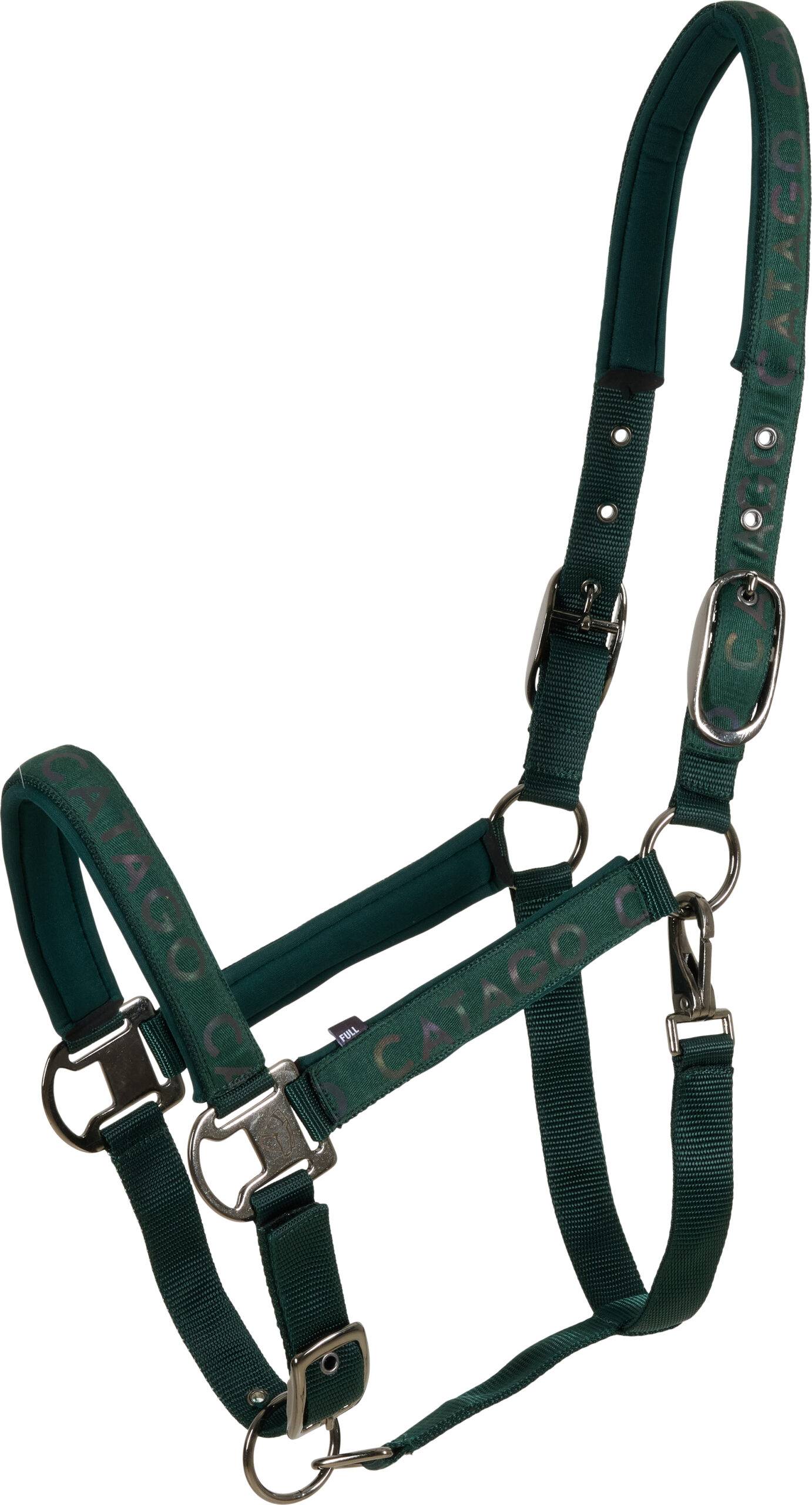 CATAGO Alea reflekterande logo grimma - Grön - Full