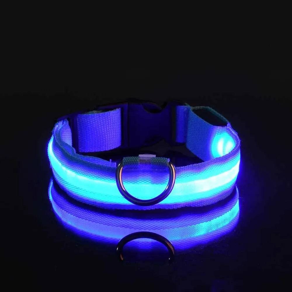 Nylon LED Night Safety Flashing Glow in the Dark Dog Leash - Luminous Fluorescent Pet Dog Collar - Blue / S (S)
