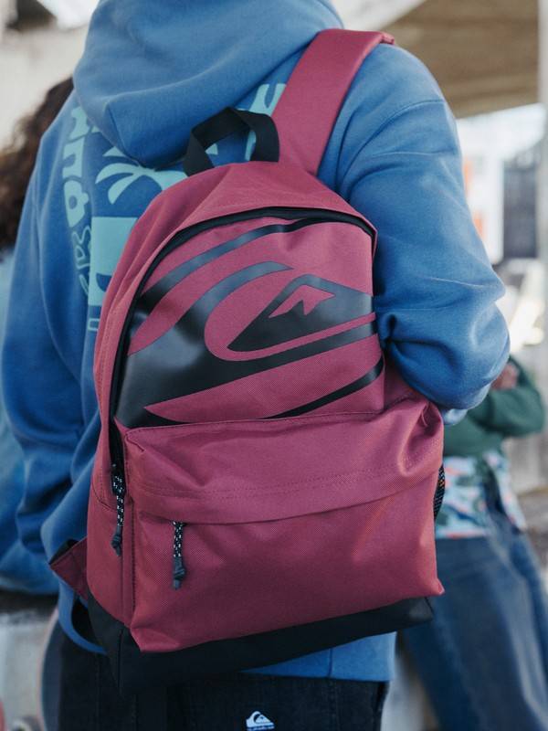 Everyday 20L Men Red Daypack