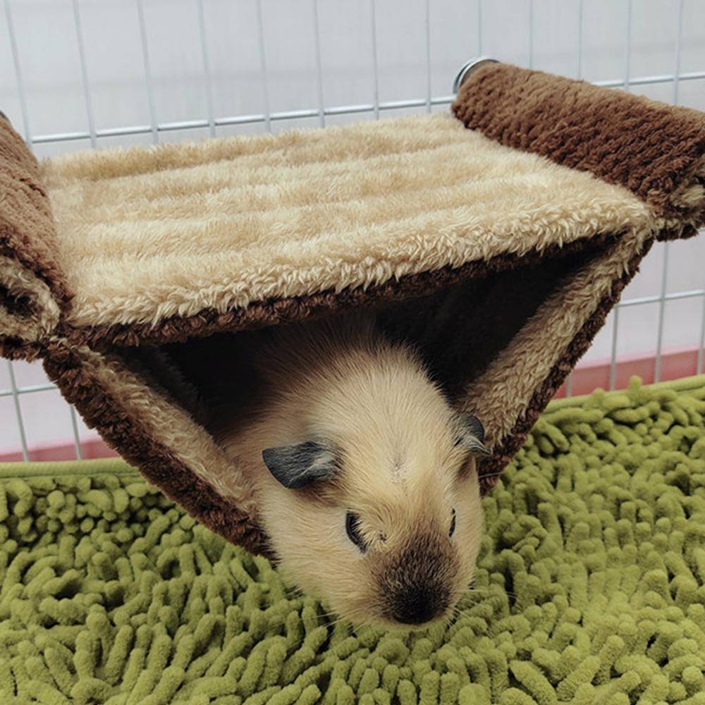 Marsvin Hamster Varm Hängmatta Honungsopossum Ekorre Hängande Bo Säng Guldsilke Björn Chinchillor Hoppande Husdjursleksak blå