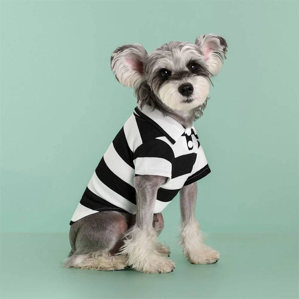 Striped Polo Shirt for Cats & Small Dogs - Black Thick Stripe / XXL-suit 5.5-7.5kg / SPC (XXL-suit 5.5-7.5kg)