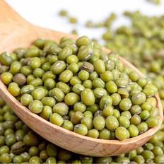 Mungbønne øko til mikrogrønt 250 g