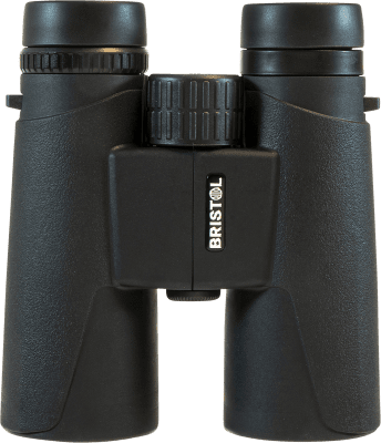 Focus Bristol 8x42