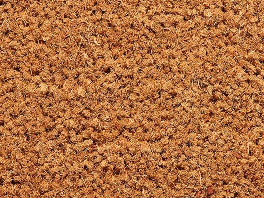 Clean Contract kokosrulle | 200 cm | 28 mm | Natur | 7600228