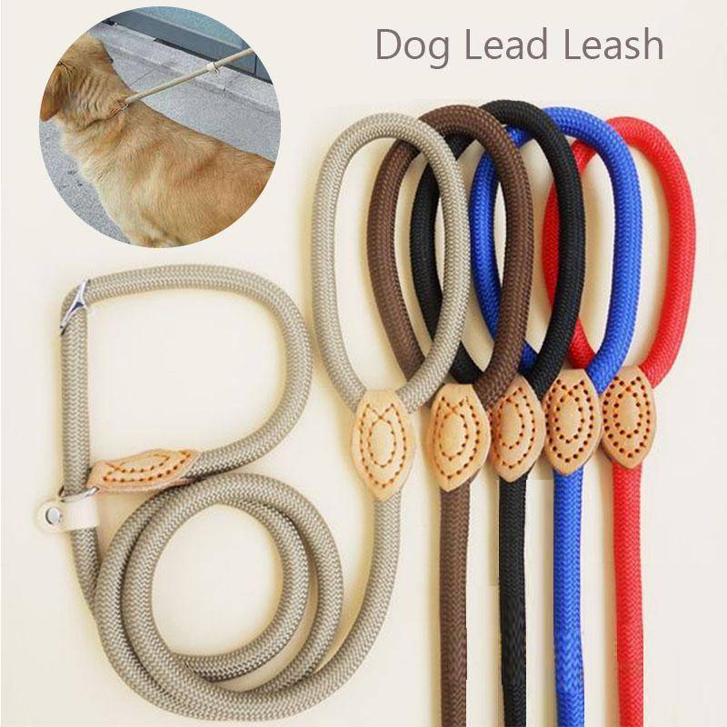 Hundkoppel Nylon Bly för husdjurskoppel Justerbar hundsele Slitstarkt repbälte Lätt hundtillbehör Gåträning husdjursprodukter