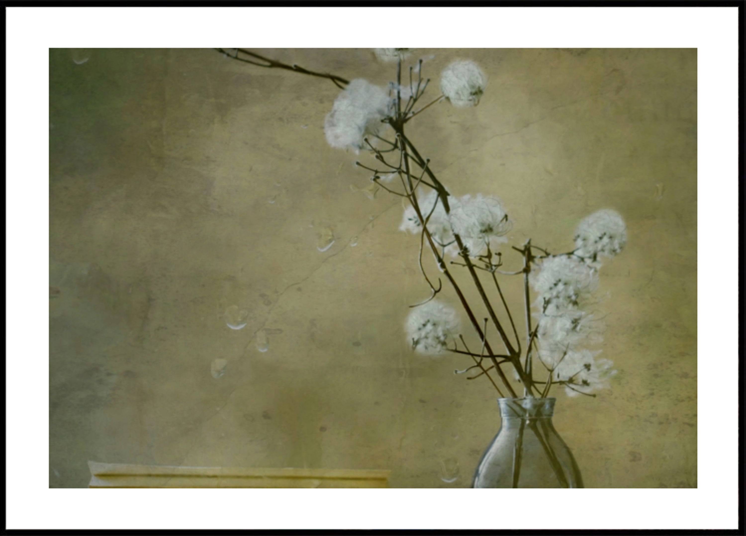 Serene Fluffy Flowers (40x50) - Plakater > Osorterade verk, BD