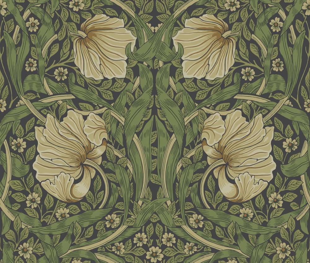 Pimpernel - 82094