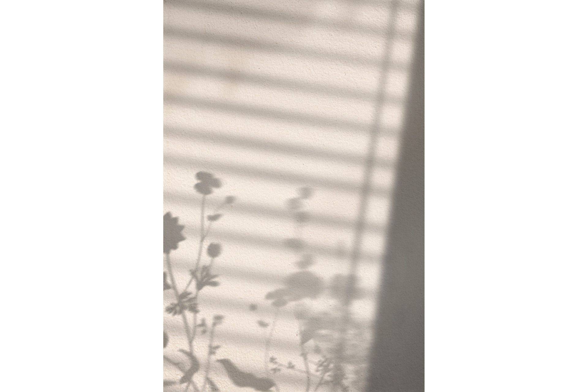 Venture Home Poster Flower Shadow 30x40 cm - Vit Posters & prints