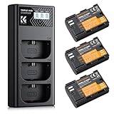 K&F CONCEPT 3-pack 2250 mAh LP-E6NH batteri och trippelspår USB-laddare för Canon EOS R7, R5, R6, R, 5D III IV, 5DS, 5DS R, 6D, 6D II, 7D, 7D II, 80D, 90D