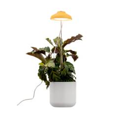 AIRAM Iris Växtbelysning 5W Dim med touch Gul 9610534