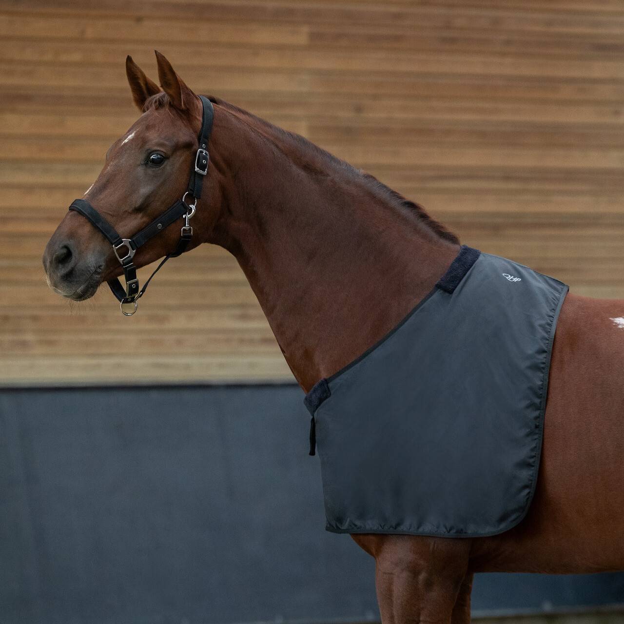 QHP dækkenundertrøje soft - Pony