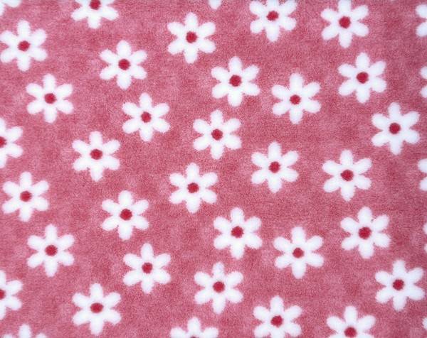 Vetbed Daisy - Rosa med vita blommor