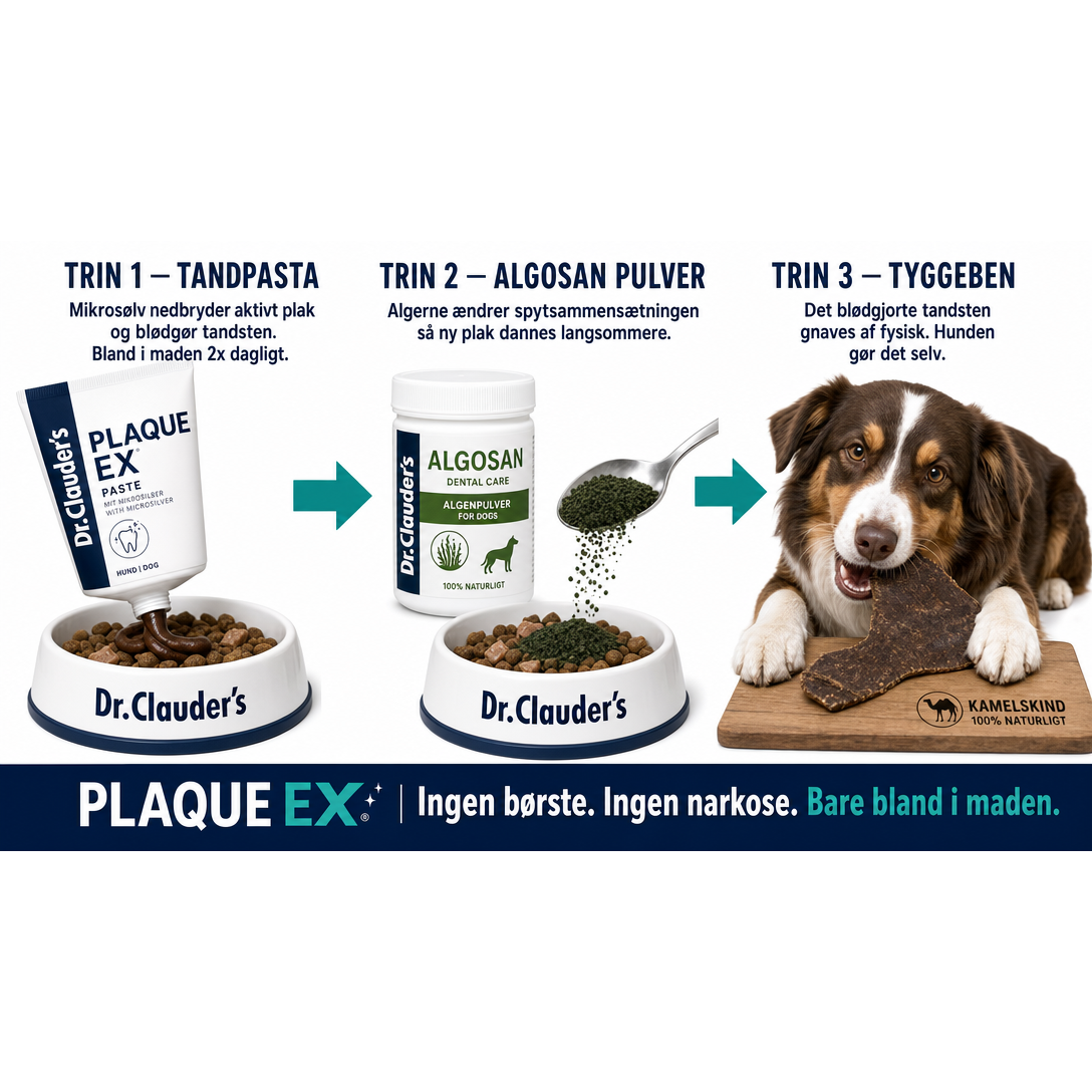 Startpakke | Plaque Ex Tandpasta + Algosan Pulver