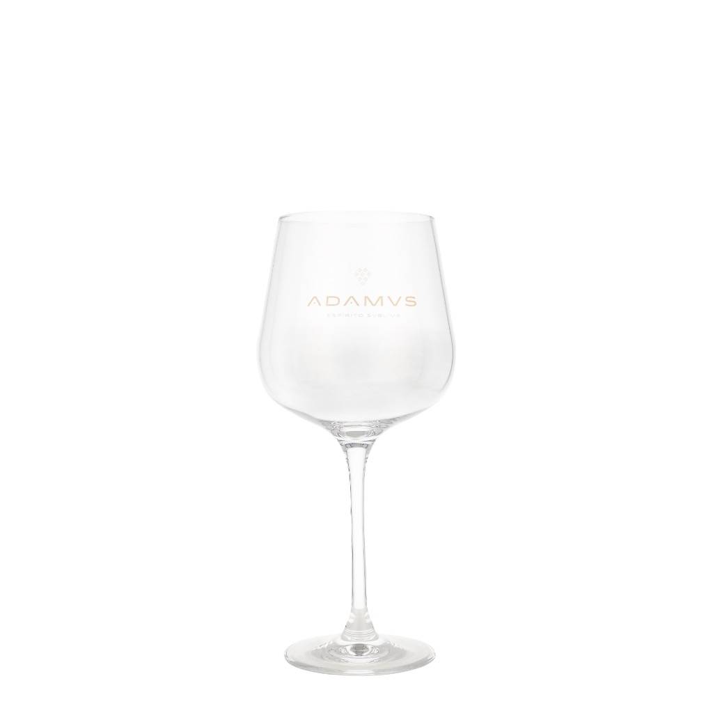 Adamus Coppa Glass 1 stk.