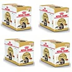 Royal Canin Maine Coon Adult | 4-pack | 4 x 12 x 85 g | Våtfoder för katter | Speciellt anpassad till behoven hos Maine Coon katter | Anpassad energihalt