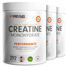 Creatin Monohydrat Pulver 3kg / 3000g reines Kreatin Monohydrat in mikronisierter Qualität - Creatine-Monohydrate optimal hochdosiert - Creatin-Pulver ohne Zusätze, 100% vegan, für 876 Anwendungen