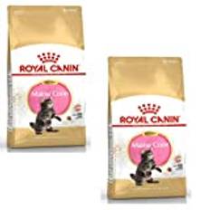 ROYAL CANIN Maine Coon Kitten | dubbelpack | 2 x 400 g | torrfoder för katter | Speciellt för Maine Coon-kattvalpar | För att stödja matsmältning och immunförsvar