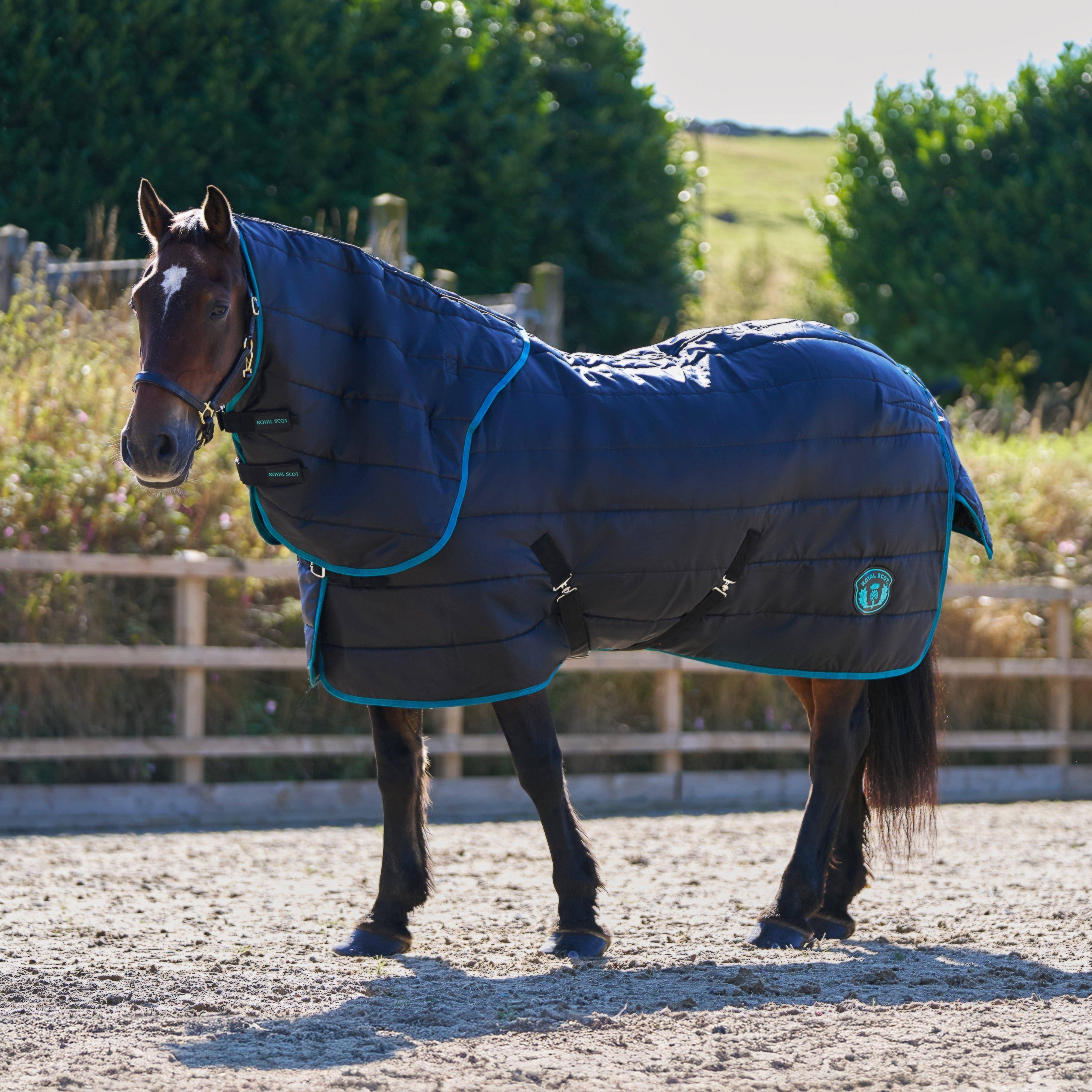 Royal Scot Original 250g Medium Detach-A-Neck Stable Rug Black/Ocean, Black/Ocean - 6'9
