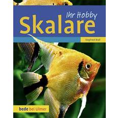 Skalare