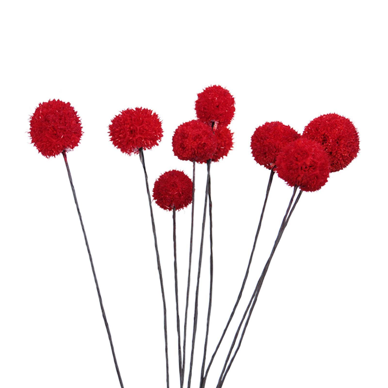 Billybollsblommor Torkade blommor Konstgjorda torkade blommor Hem Trädgårdsdekoration