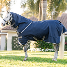 AMIGO BRAVO 12 PLUS 0gr  V-FRONT PONY