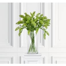 Astilbe snittblomma grön - Grön (H: 70 cm)