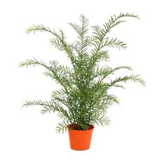 Konstgjord Idegran (60 cm) UV