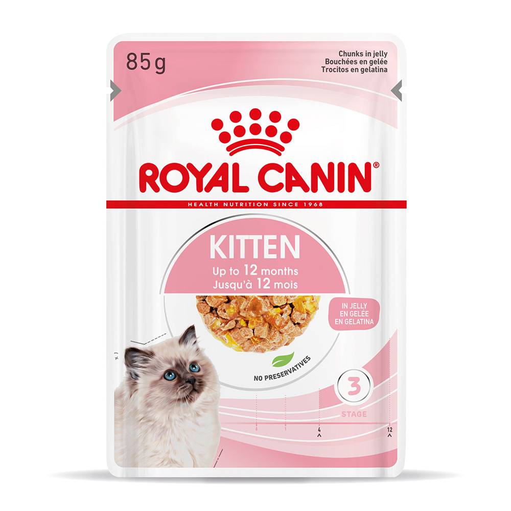 48x85g Kitten Royal Canin vådfoder i gelé Kattemad