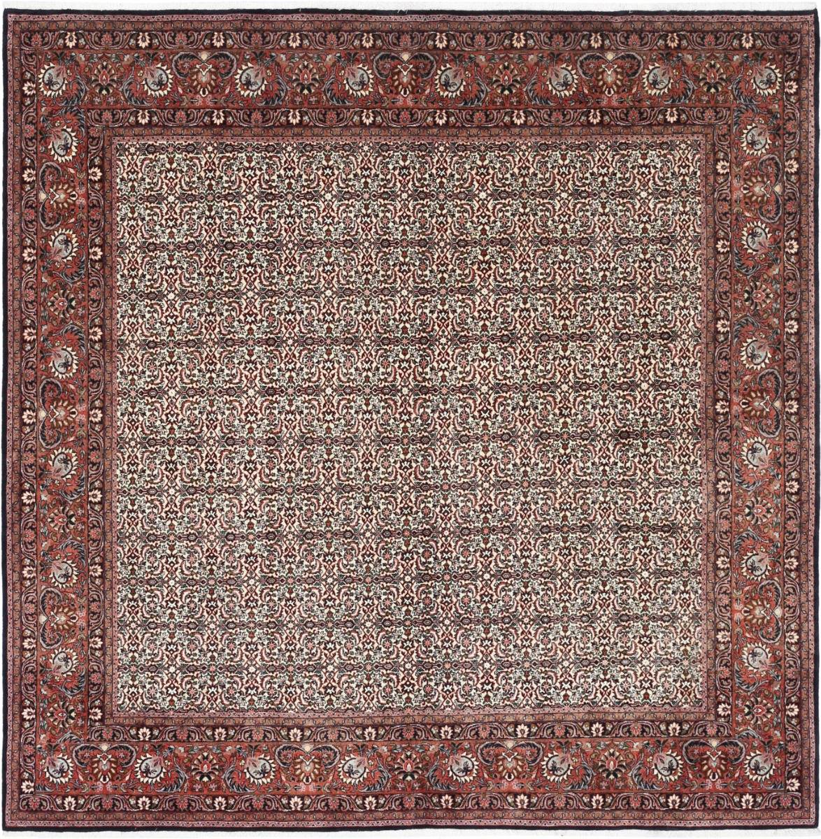 Bidjar Matta 250x250 Persisk Matta Orientalisk Matta Orange / Gul
