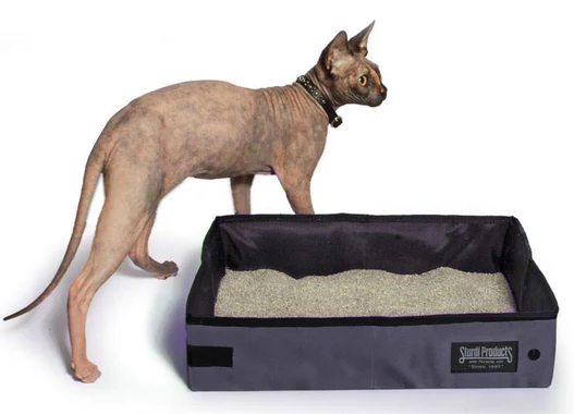 Sturdibox Large (Bone (ljus beige)