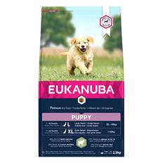 Eukanuba Puppy Large Breed Lamb & Rice -