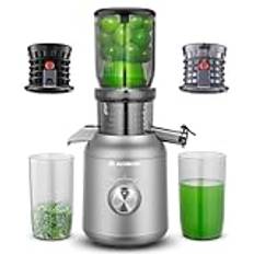 AOBOSI Juicepress 250W-extraktor för frukt- och grönsaksjuice med en diameter på 103 mm och 2 metallfria filter-1,2 L juicepress med 2 patent och 40 minuters värmeskydd, grå.