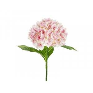 Hortenisa - 69 cm - Premium - Ljusrosa