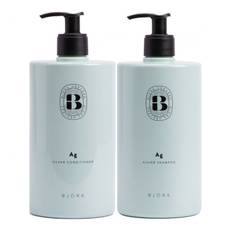 Björk AG Silver DUO Paket 750ml + 750ml, 750ml