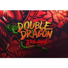 Double Dragon Trilogy (PC) Steam Key - GLOBAL
