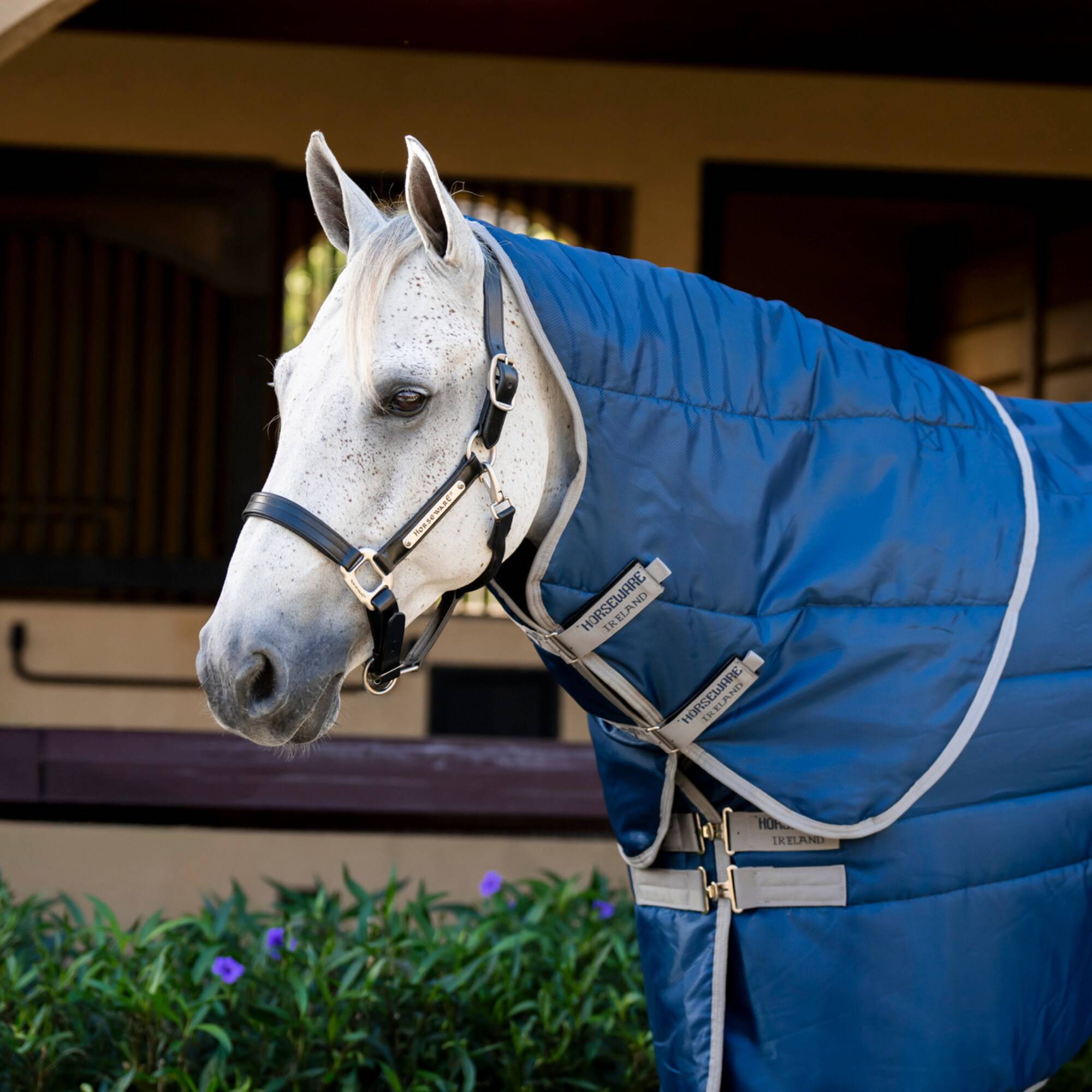Amigo RS I Hood - 100 gr - Marin, Horseware