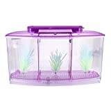 Mini akvarium tre divisioner liten fisk avel isolering låda akryl fisk räkor kläckeri med LED-ljus och glödande vatten gräs (lila)