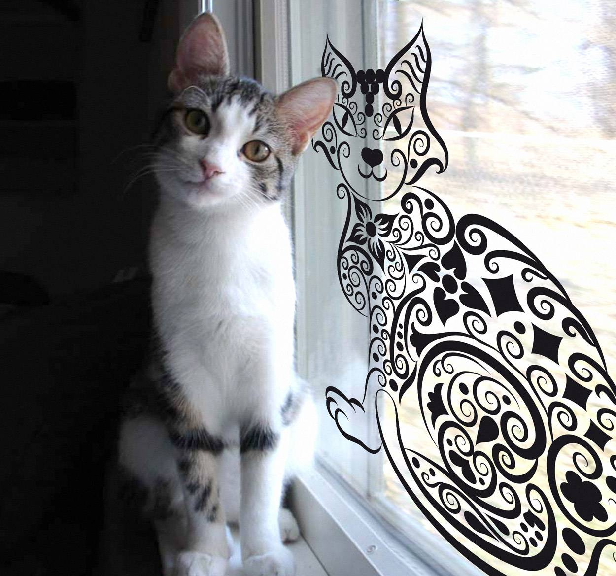 Abstrakt katt dekal