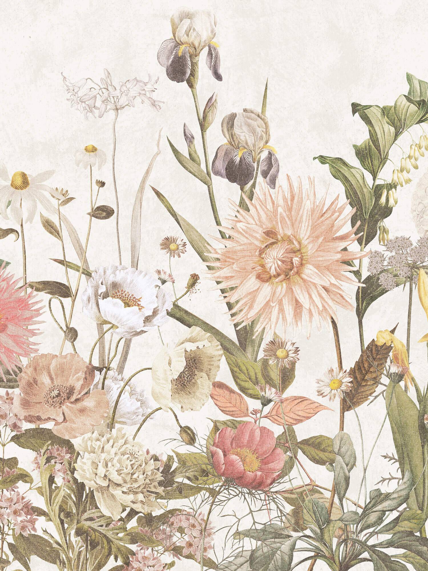 Boråstapeter - Dahlia