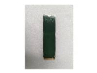 (ComputerSalg) Samsung - SSD - krypterat - 512 GB - inbyggd - M.2 2280 - PCIe 3.0 x4 (NVMe) - TCG Opal Encryption - FRU, (CRU) - Tier 1 - för ThinkPad P50 P51 P71 T460s ThinkStation P320 P520 P520c P720 P920