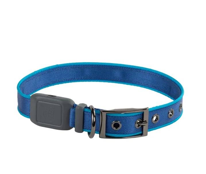 Halsband till hund, NiteDog LED